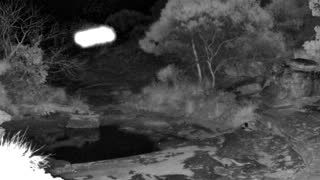 Still 2 from this detection
