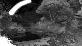 Still 1 from this detection