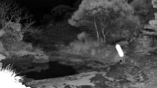 Still 1 from this detection