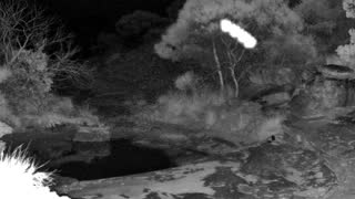 Still 1 from this detection