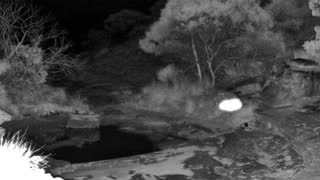 Still 2 from this detection