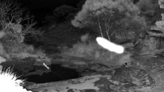 Still 3 from this detection