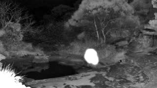 Still 1 from this detection
