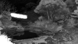 Still 1 from this detection