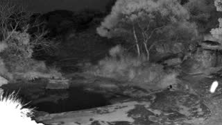 Still 3 from this detection