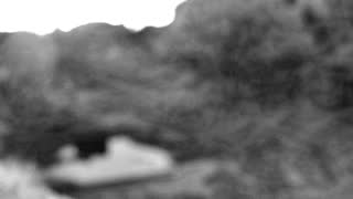 Still 2 from this detection