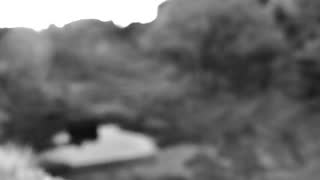Still 3 from this detection