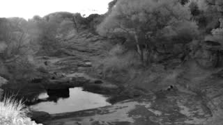 Still 2 from this detection