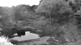 Still 1 from this detection