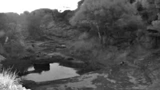 Still 2 from this detection