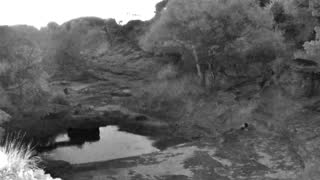 Still 1 from this detection