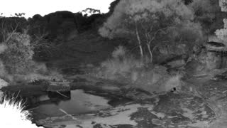 Still 2 from this detection