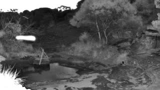 Still 1 from this detection