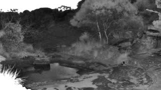Still 2 from this detection