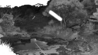 Still 1 from this detection