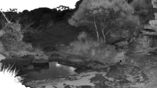 Still 1 from this detection