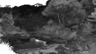 Still 1 from this detection