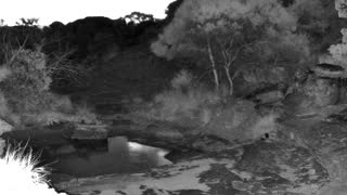 Still 2 from this detection