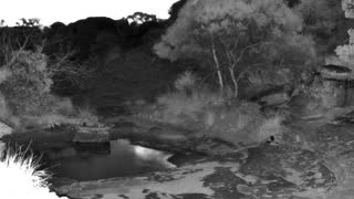Still 1 from this detection
