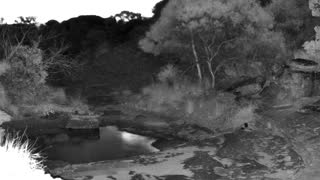 Still 2 from this detection