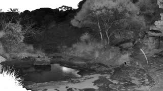 Still 3 from this detection