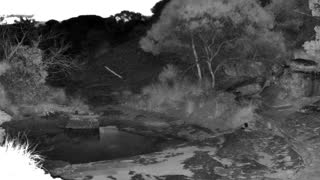 Still 2 from this detection
