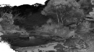 Still 3 from this detection