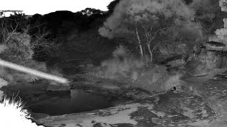 Still 2 from this detection