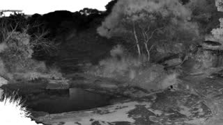 Still 3 from this detection