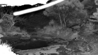 Still 1 from this detection