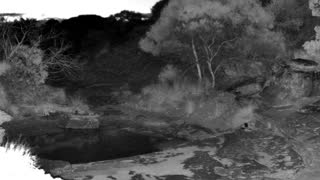 Still 2 from this detection