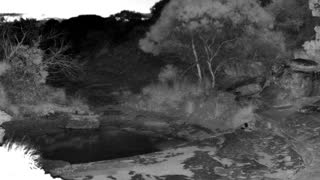 Still 3 from this detection