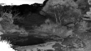 Still 2 from this detection