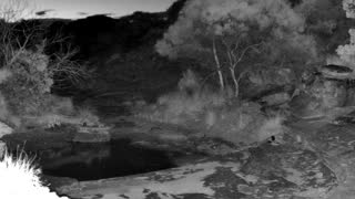 Still 1 from this detection