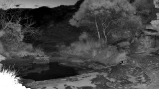 Still 3 from this detection