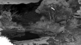 Still 2 from this detection