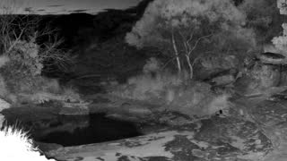 Still 1 from this detection