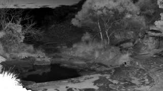 Still 2 from this detection