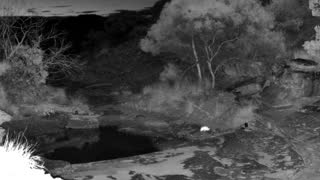 Still 3 from this detection