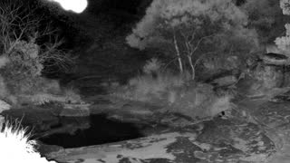 Still 2 from this detection