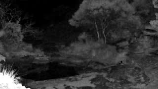Still 2 from this detection