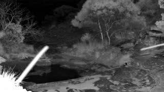 Still 2 from this detection