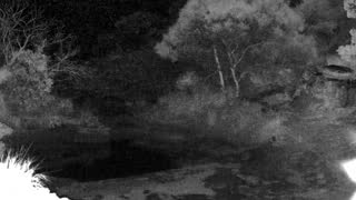 Still 2 from this detection