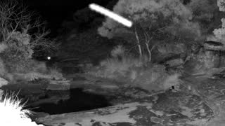 Still 1 from this detection