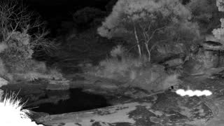Still 2 from this detection