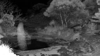 Still 1 from this detection