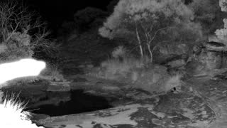 Still 2 from this detection