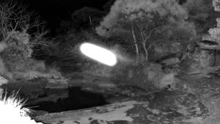 Still 1 from this detection