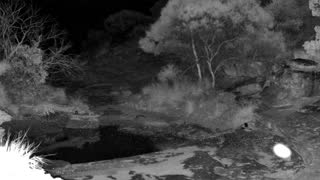 Still 1 from this detection
