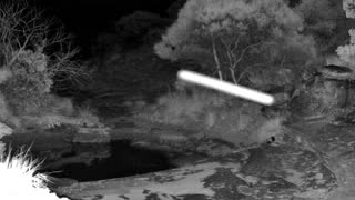 Still 1 from this detection